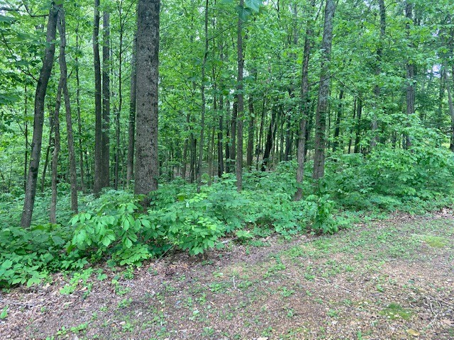 150 Krapps Subdivision Road Pulaski, TN 38478 - Photo 24 of 27 Gallery Image 24