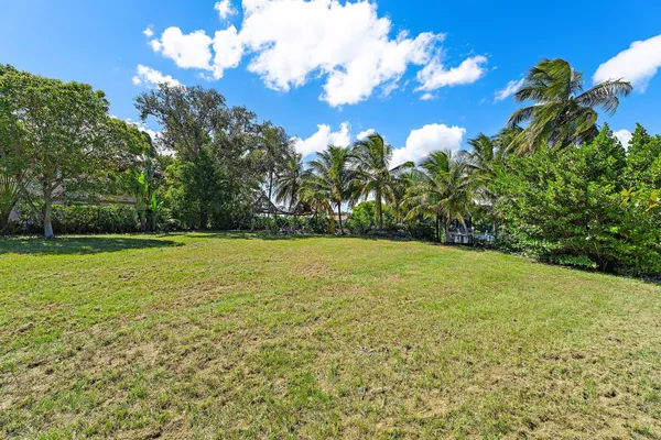 a view of a yard with a tree