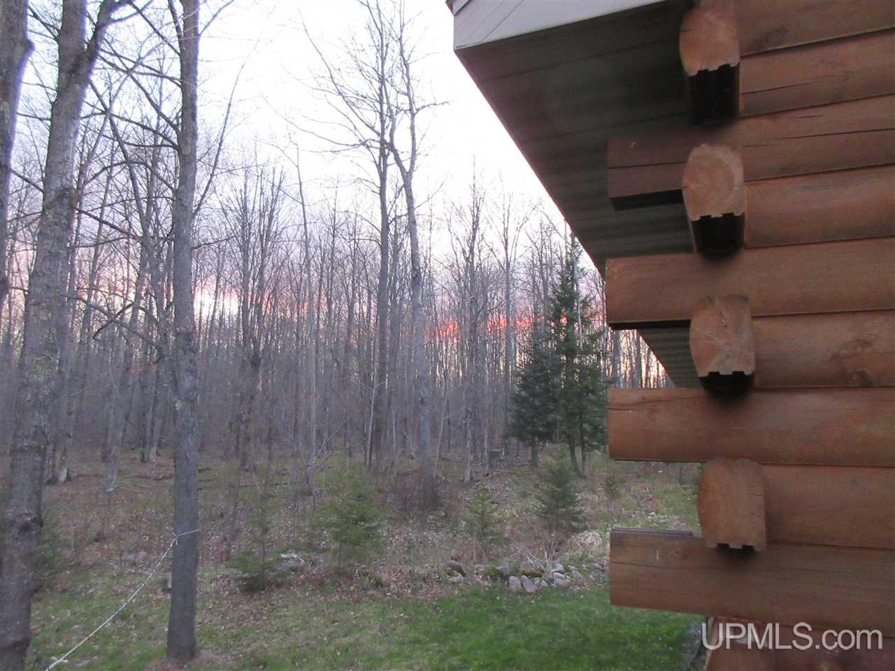119 Ridge View Drive Iron River, MI 49935 - Photo 10 of 44