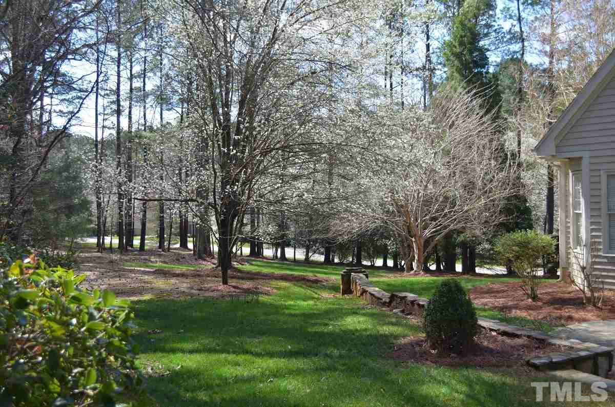 3937 White Chapel Way Raleigh, NC 27614 - Photo 8 of 30 a view of park space