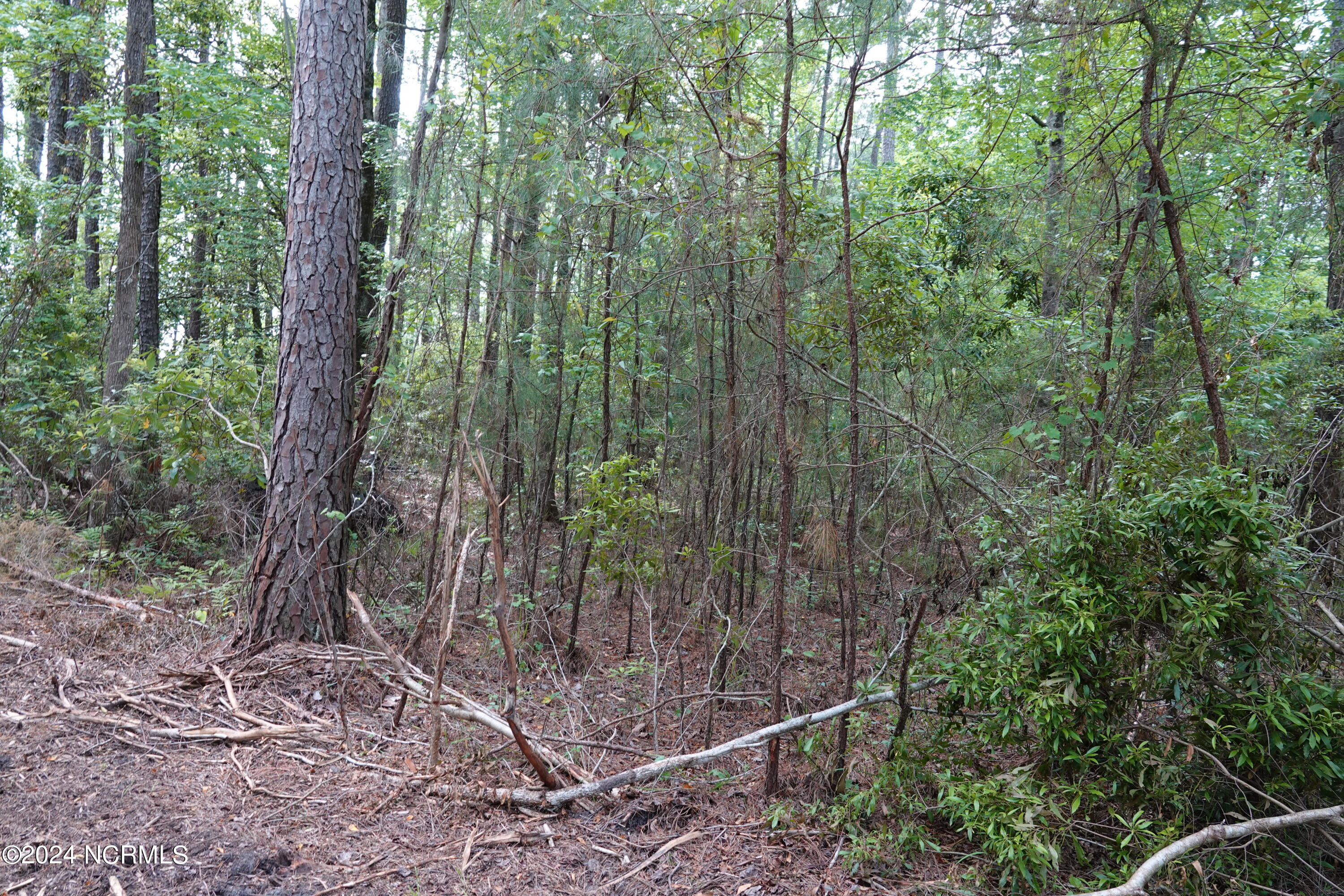 565 Bell Point Road Merritt, NC 28556 - Photo 17 of 27 DSC00068