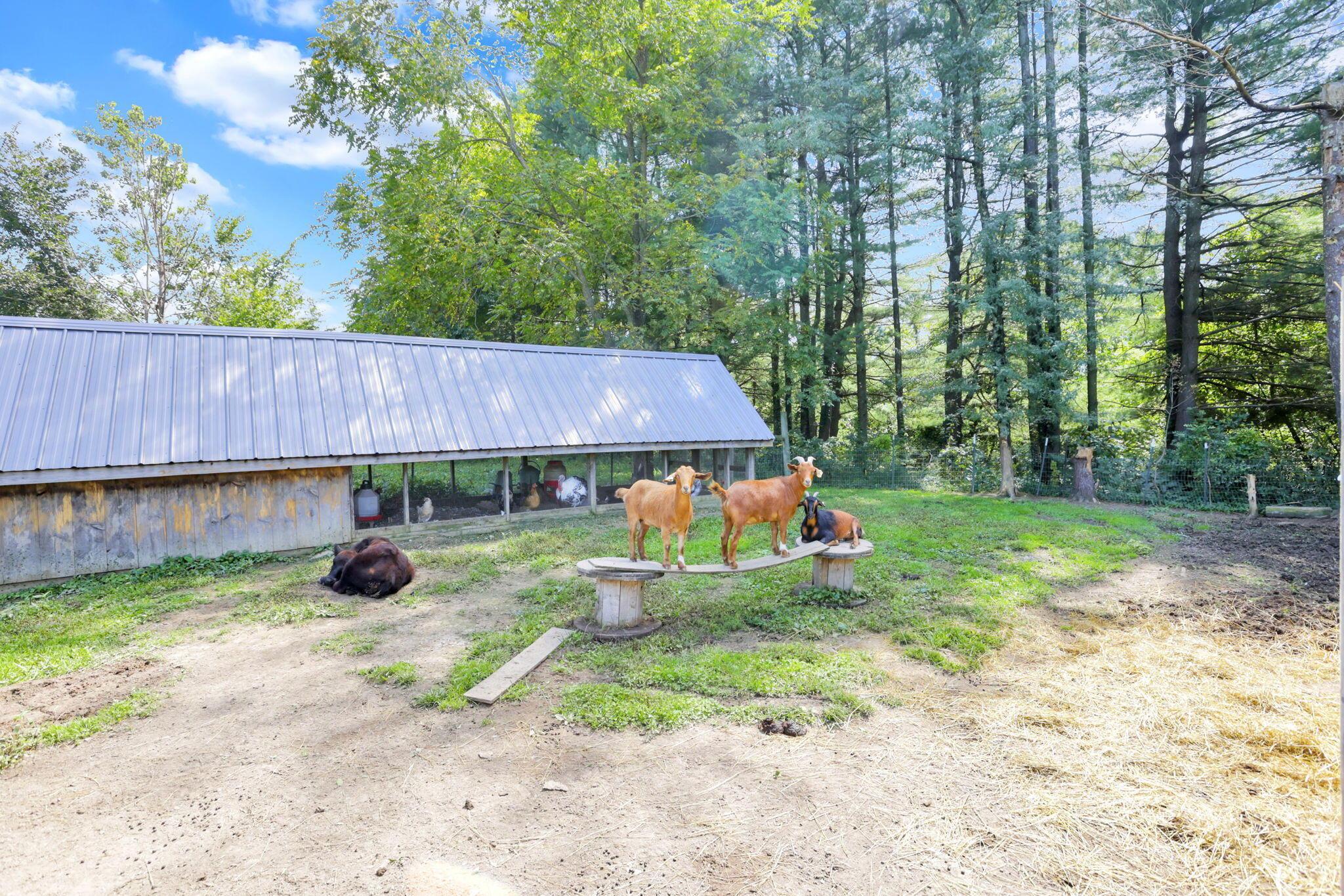 14300 Mt Perry Road Mount Perry, OH 43760 - Photo 72 of 98 14300 Mount Perry Rd