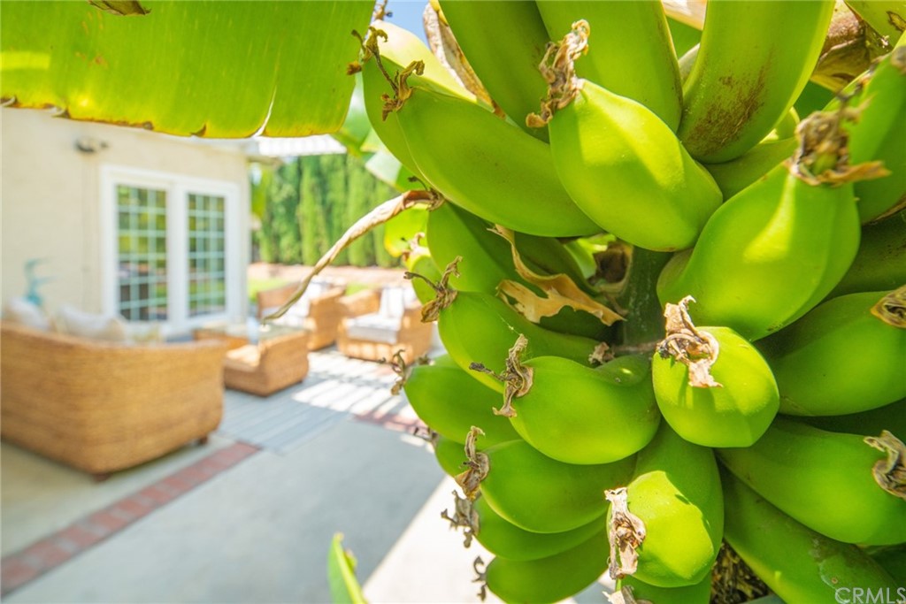 10 Blue River Irvine, CA 92604 - Photo 18 of 18