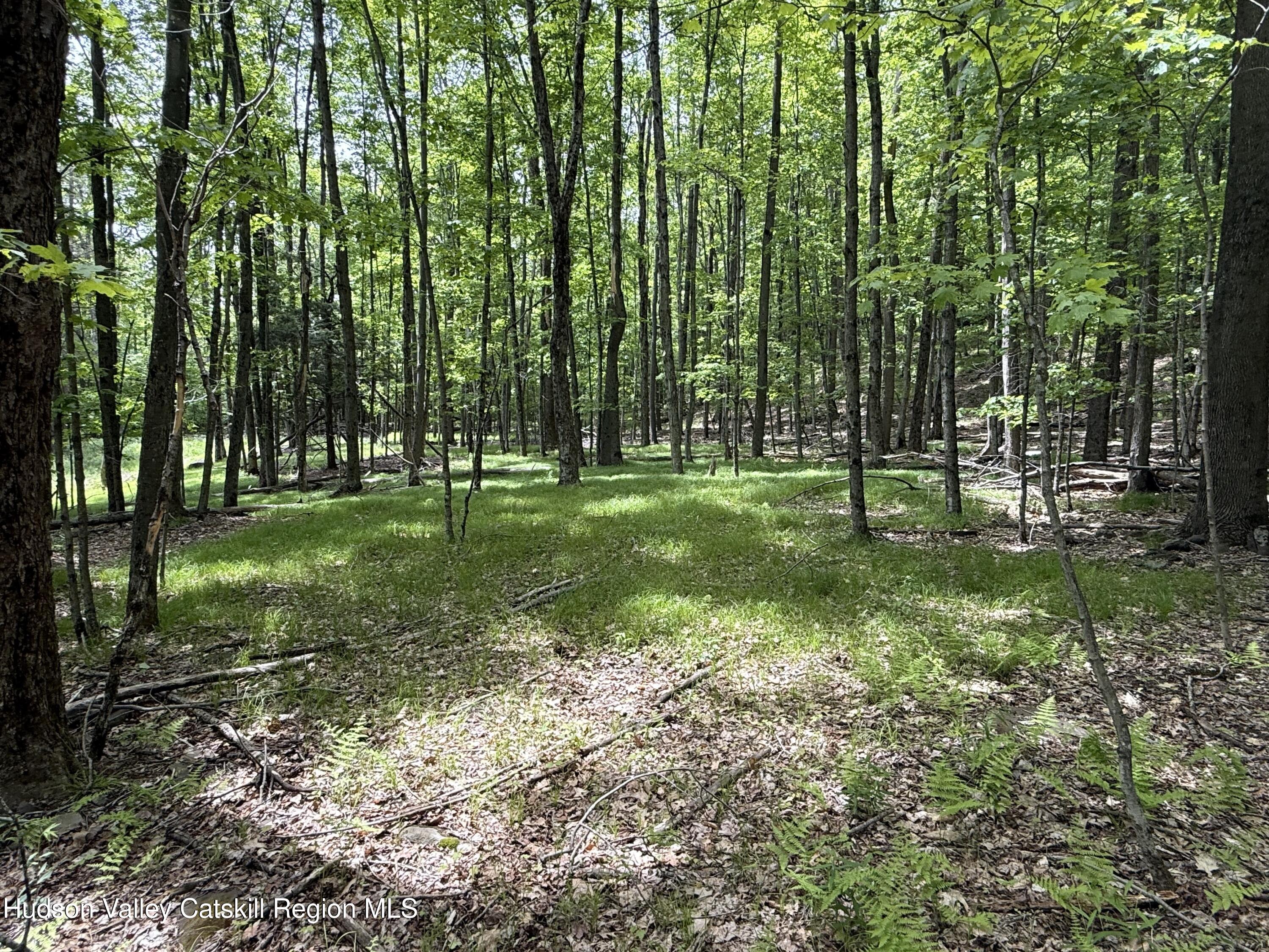 261 Bailey Road Jewett, NY 12444 - Photo 5 of 7 IMG_9060