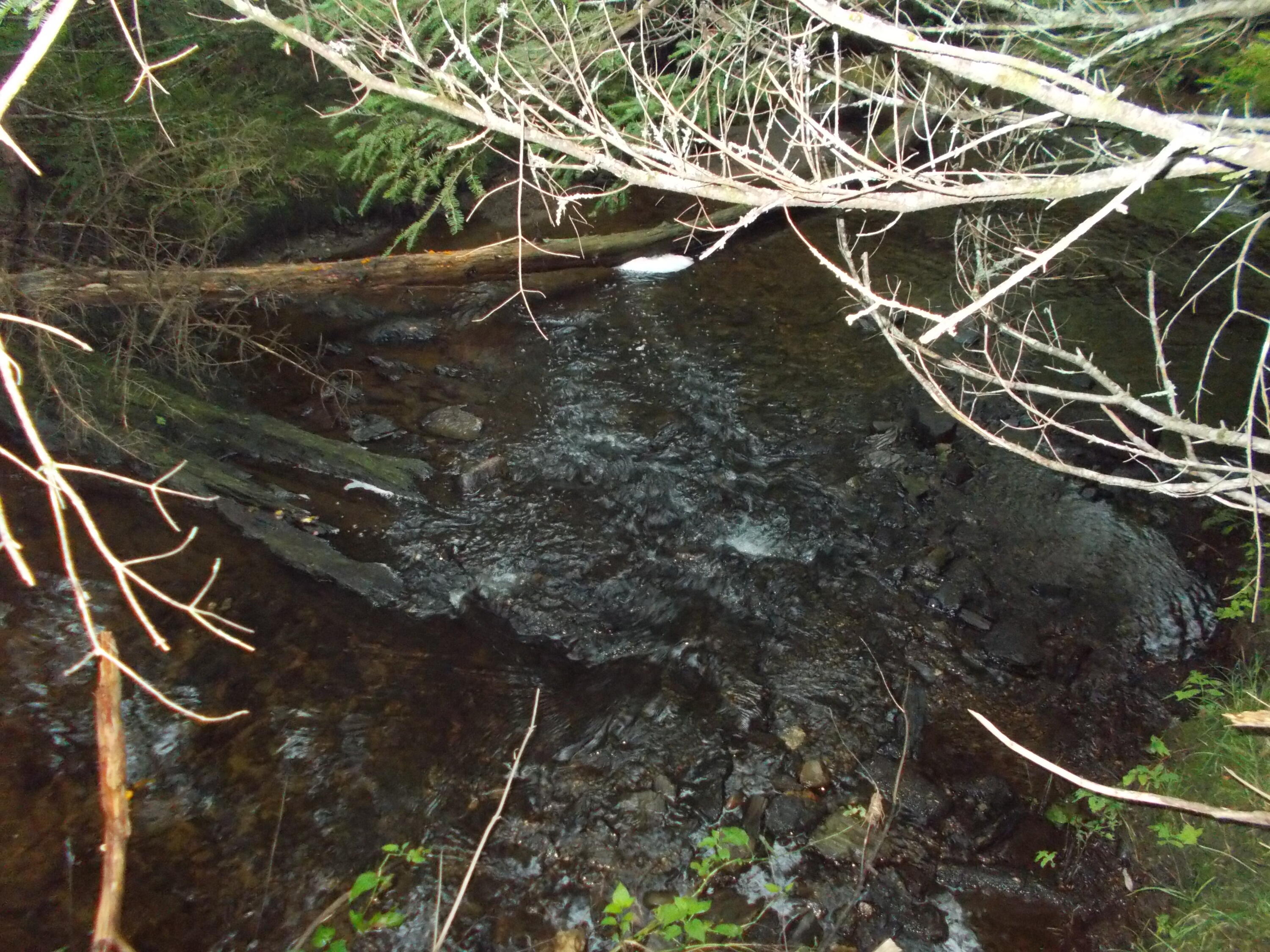 Map10-lot9 Belfast Road Knox, ME 04986 - Photo 11 of 12 DSCN2614
