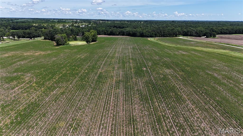 96.59 Acres Rock Road Bellflower, MO 63333 - Photo 10 of 21