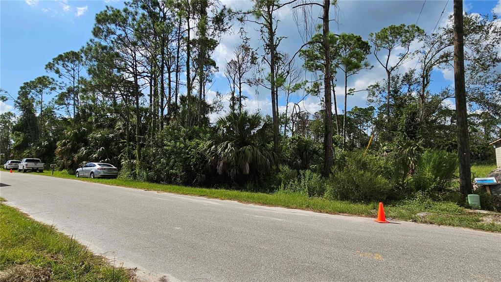 Armenia Rd Port North Port, FL 34286 - Photo 5 of 7 a view of road and with trees