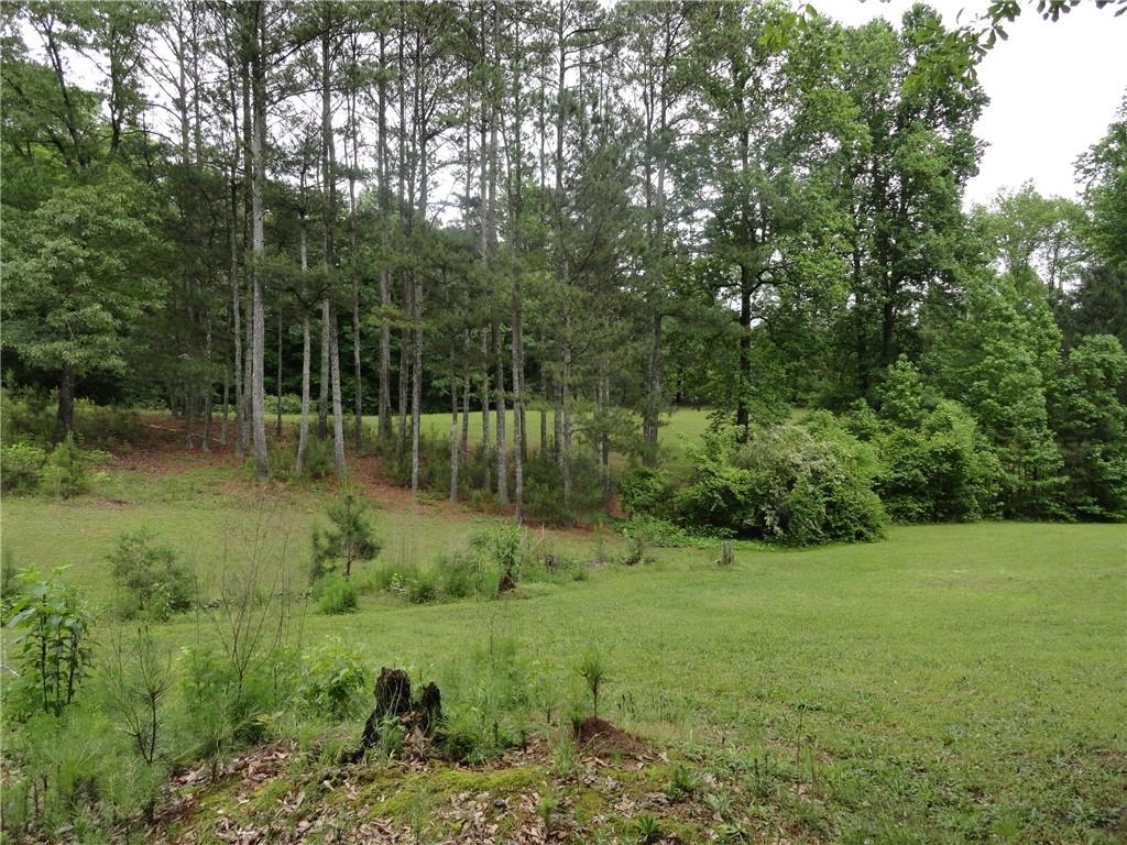 8664 Cumming Highway Canton, GA 30115 - Photo 12 of 18 a view of a garden