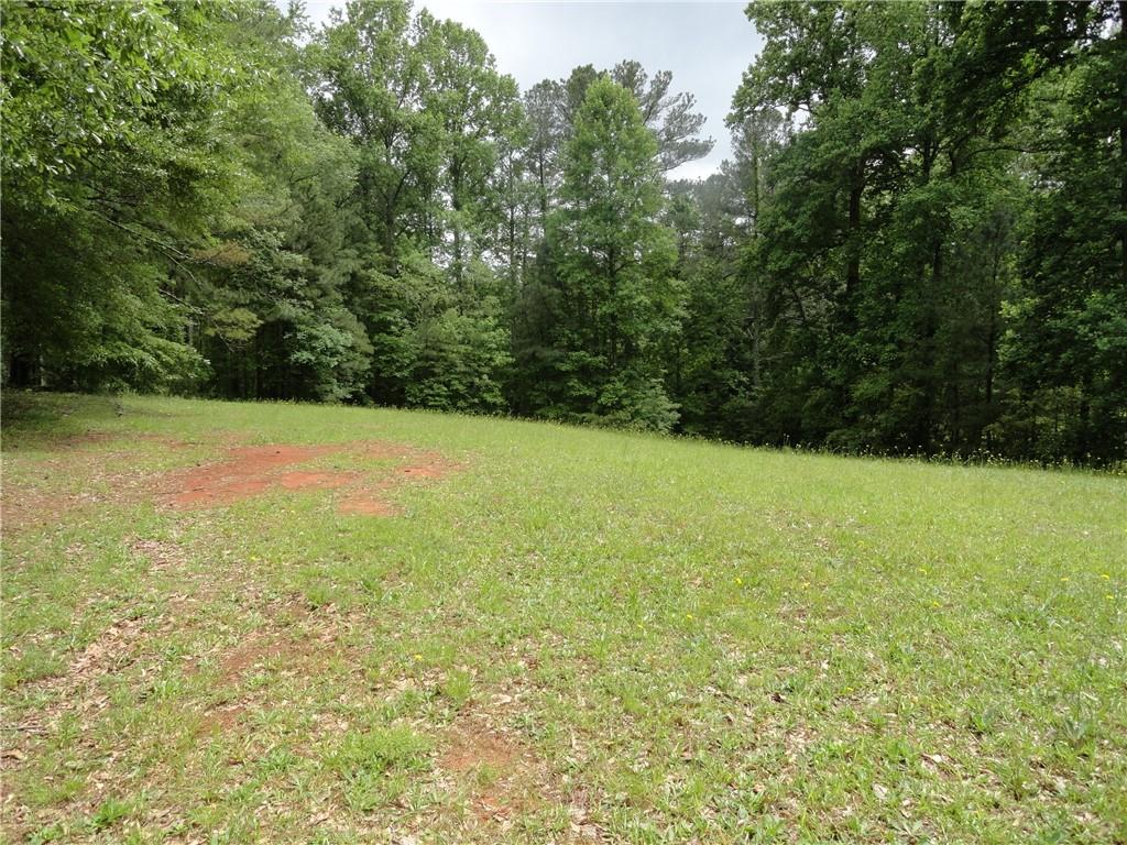 8664 Cumming Highway Canton, GA 30115 - Photo 15 of 18 a view of yard with swimming pool and trees