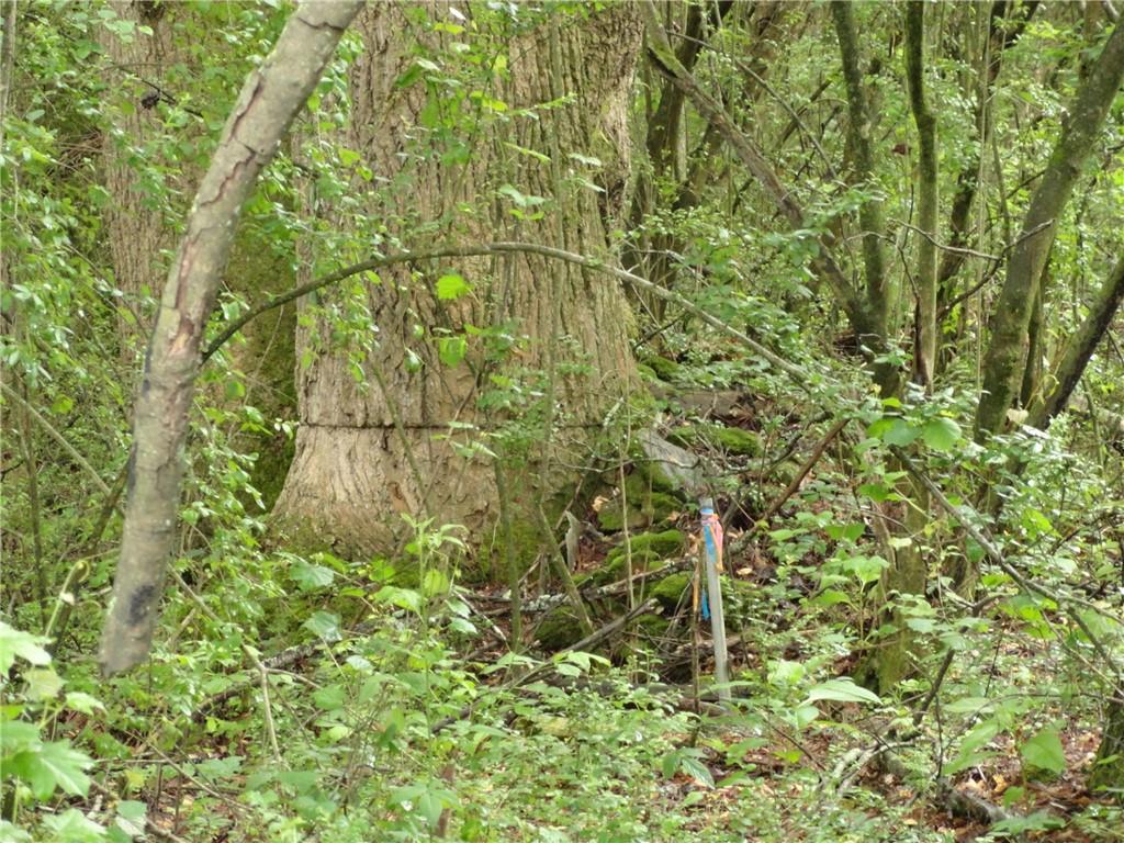 8664 Cumming Highway Canton, GA 30115 - Photo 18 of 18 a plant is in middle of the green field