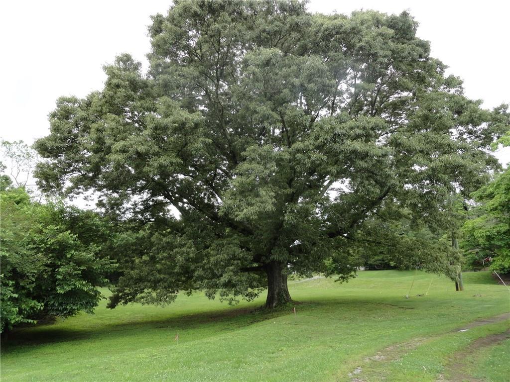 8664 Cumming Highway Canton, GA 30115 - Photo 5 of 18 a view of a golf course with a lake