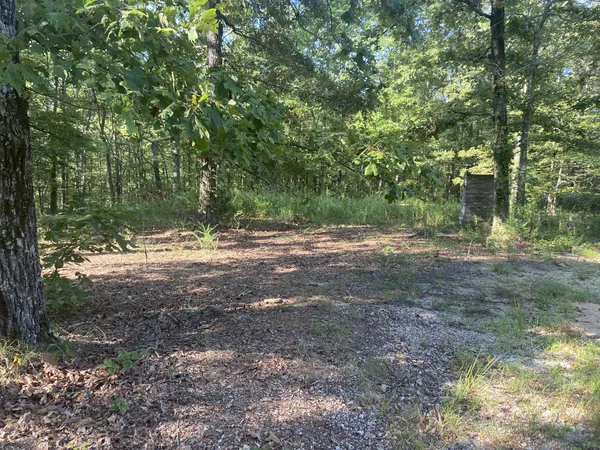 a view of dirt yard with a tree