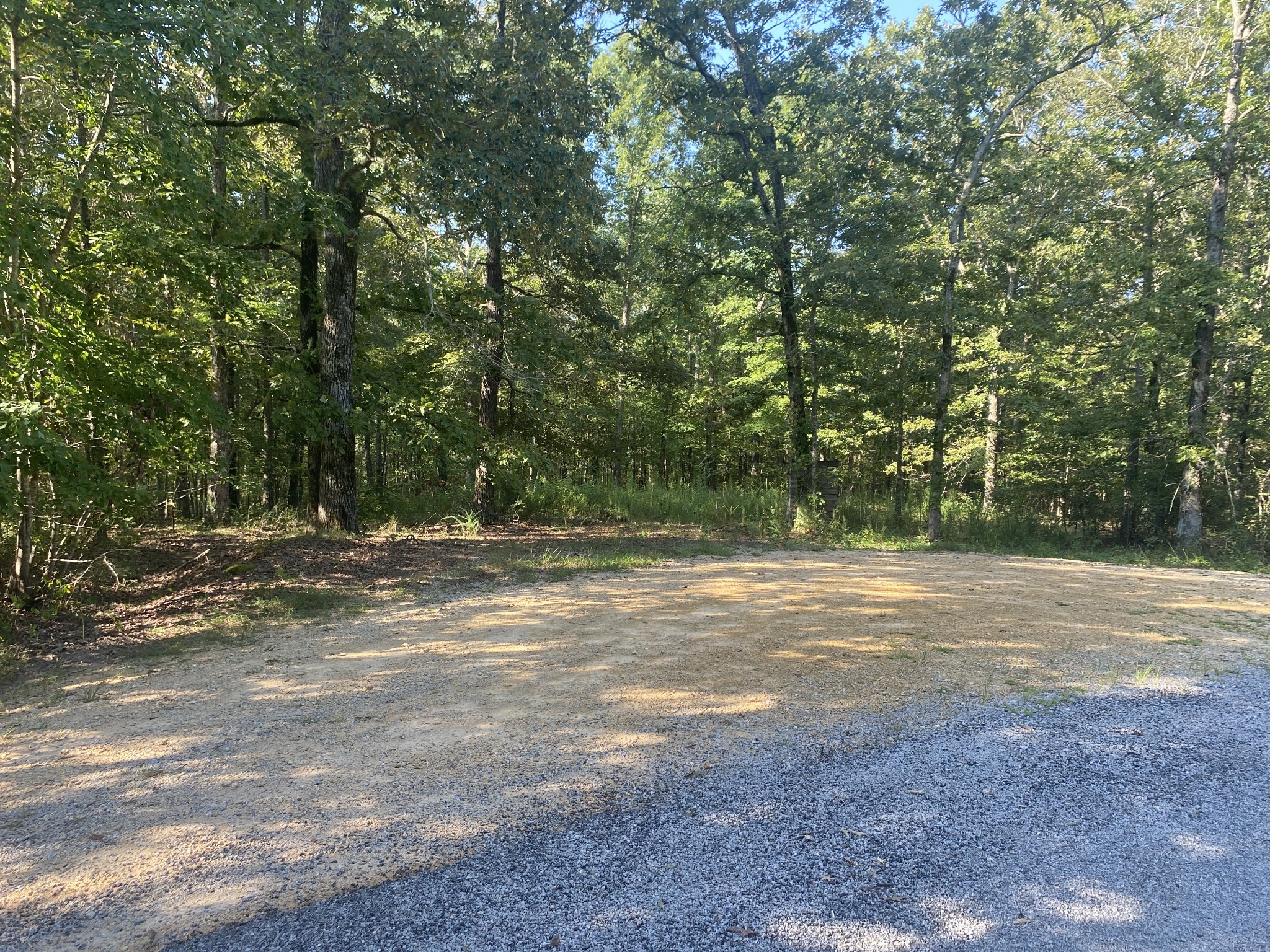 139 Lost Arrowhead Road Summertown, TN 38483 - Photo 4 of 4