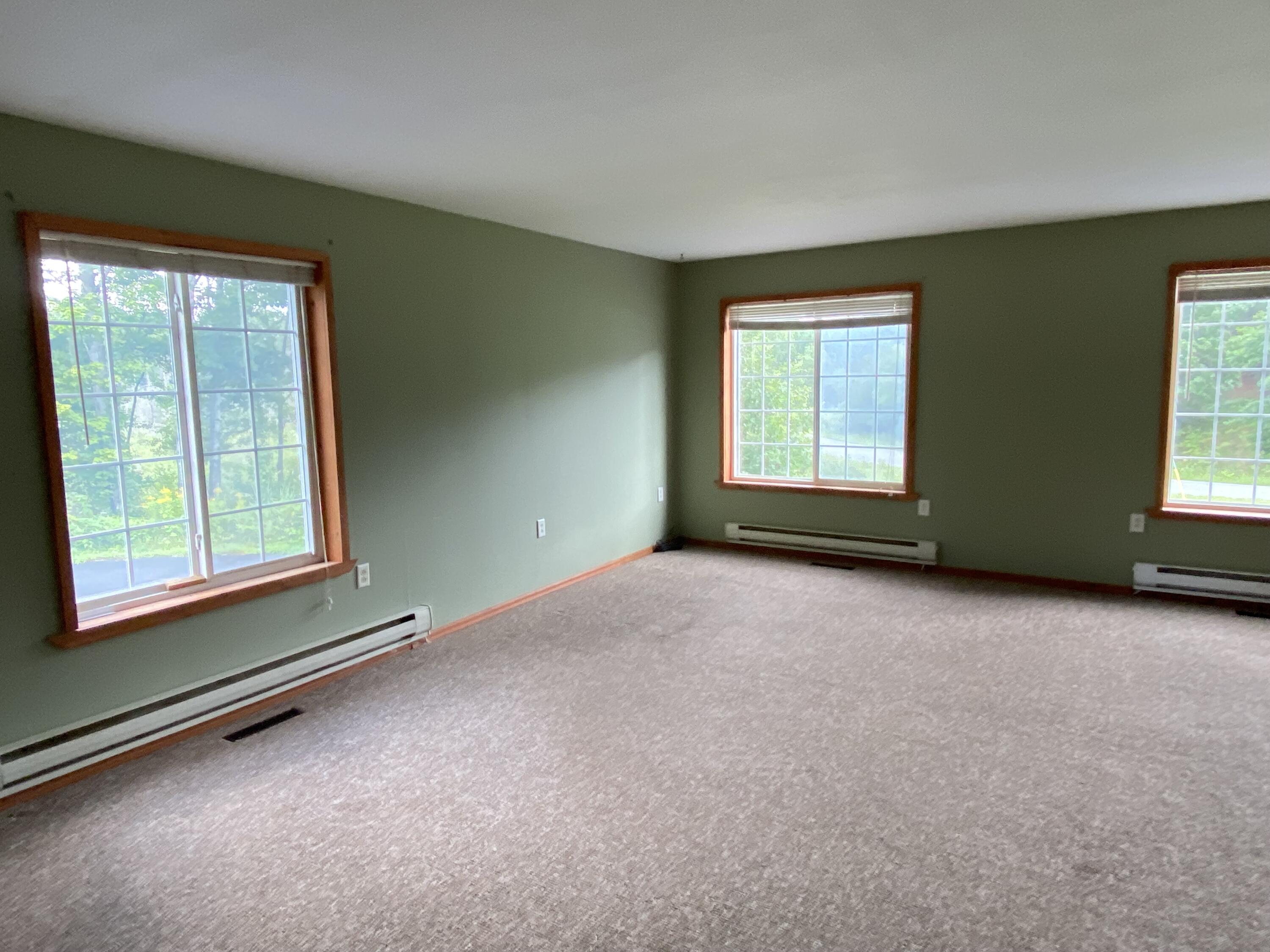 N12425 Freele Road Wausaukee, WI 54177 - Photo 9 of 31 IMG_0200