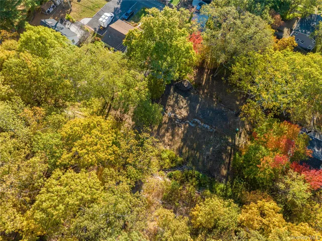 a view of a tree with a yard