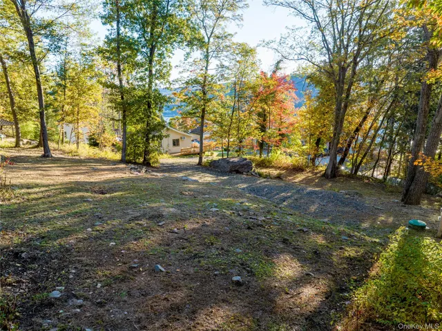 a view of a yard with a trees