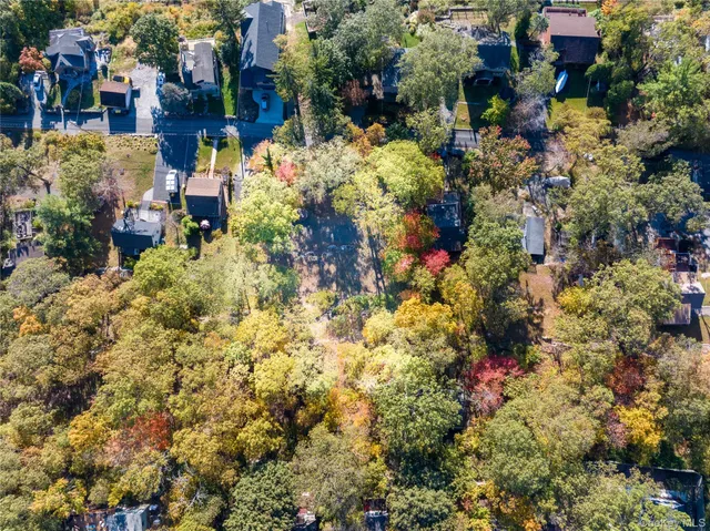 a view of a city and flowers