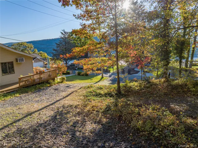 a view of a yard with plants