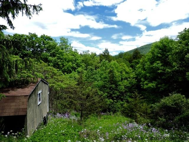 146 West Settlement Road Roxbury, NY 12474 - Photo 3 of 35 a backyard of a house with lots of green space