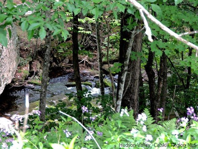 146 West Settlement Road Roxbury, NY 12474 - Photo 34 of 35 a backyard of a house with lots of green space
