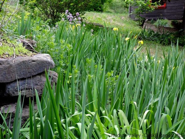 146 West Settlement Road Roxbury, NY 12474 - Photo 4 of 35 a view of a garden with plants and a bench