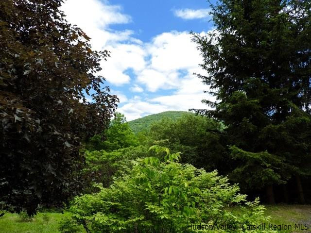 146 West Settlement Road Roxbury, NY 12474 - Photo 6 of 35 a view of a garden with plants and large trees