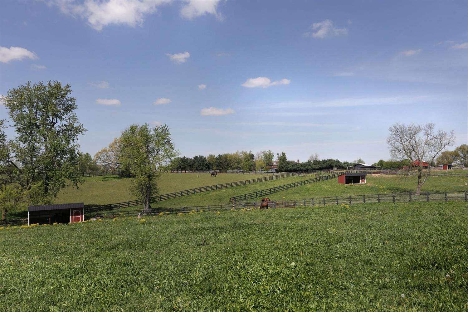 3180 Delong Road Lexington, KY 40515 - Photo 28 of 41 Listing Photo