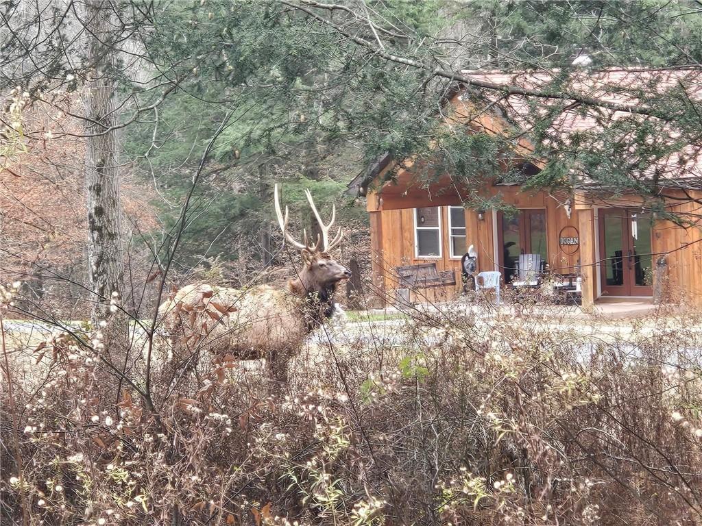 113 Elk Bugle Road Weedville, PA 15868 - Photo 36 of 39