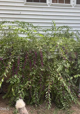 $650,000 | 1011 Scotsburg Trail, Hillsborough, NC 27278