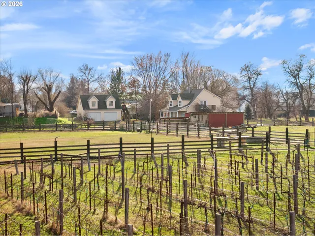 a view of dirt yard and trees