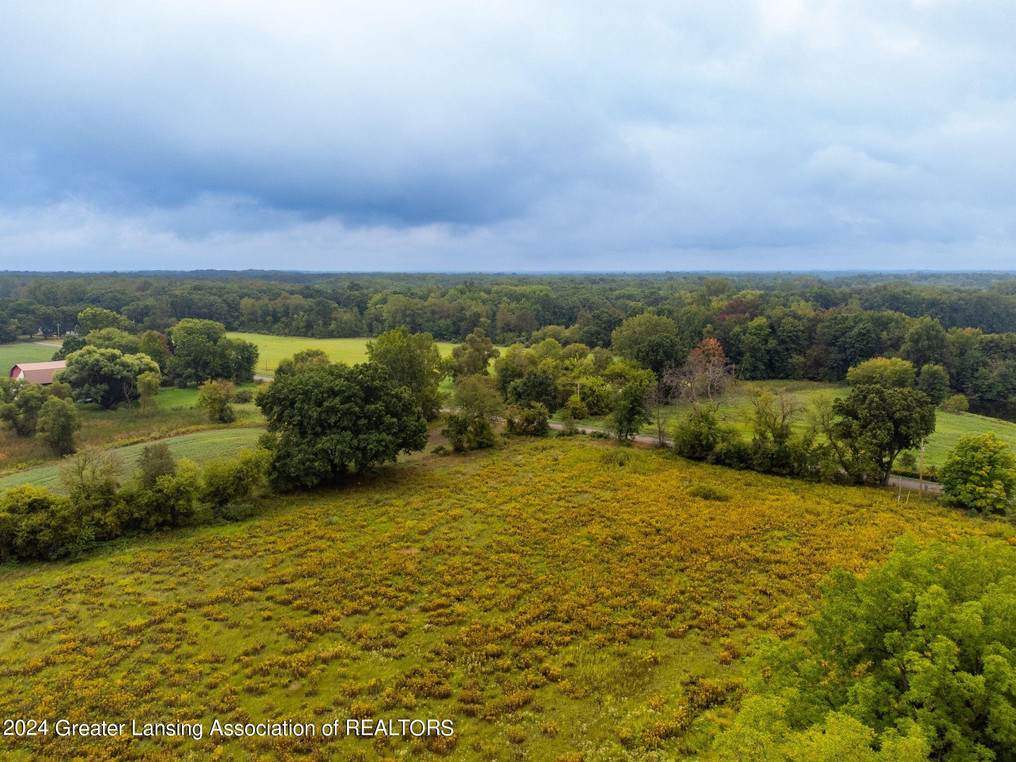 3630 Milner Road Stockbridge, MI 49285 - Photo 17 of 23 Aerial