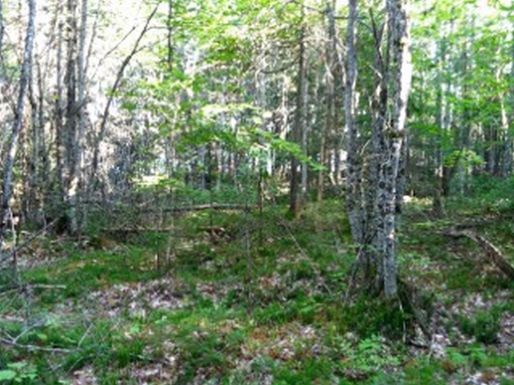 374 Bottle Lake Road Springfield, ME 04487 - Photo 15 of 23 Photo