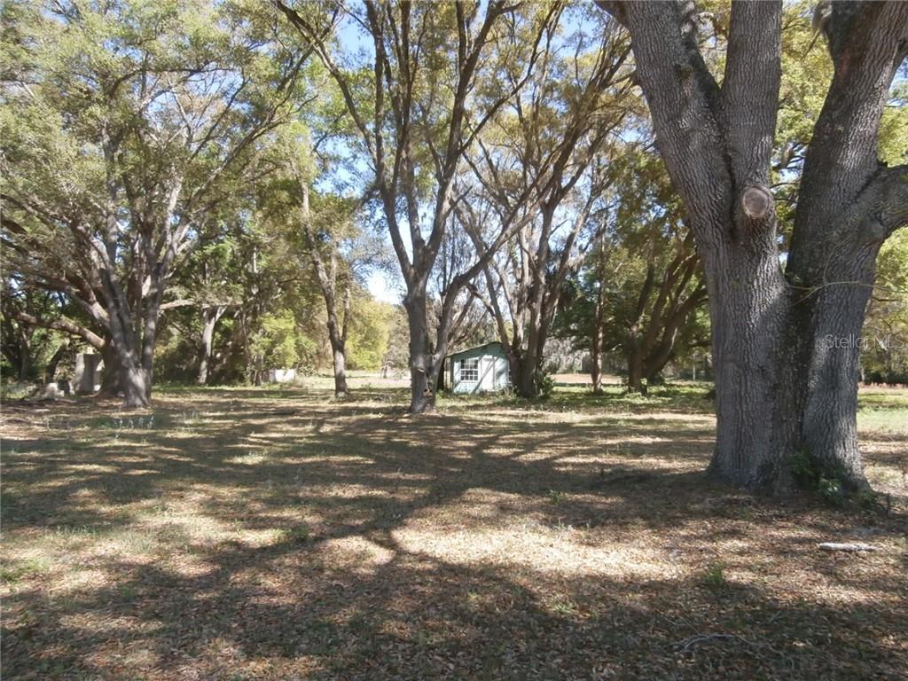 35628 Micro Racetrack Road Fruitland Park, FL 34731 - Photo 1 of 1 Gallery Image 1