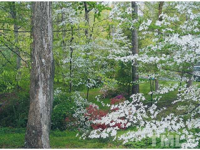 400 Gary Road Carrboro, NC 27510 - Photo 23 of 25 Gallery Image 23