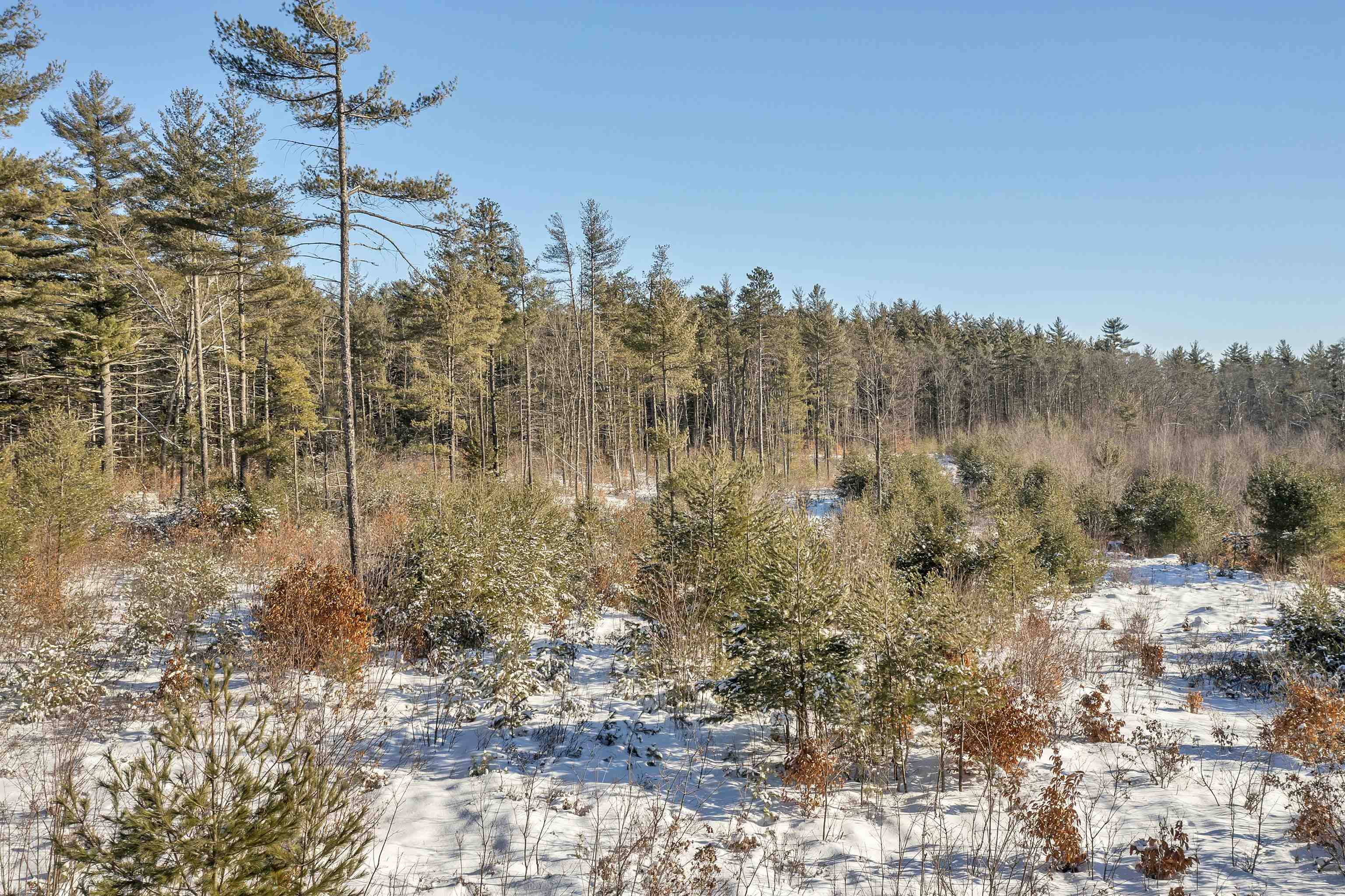 51-3 Depot Road Tamworth, NH 03886 - Photo 23 of 30