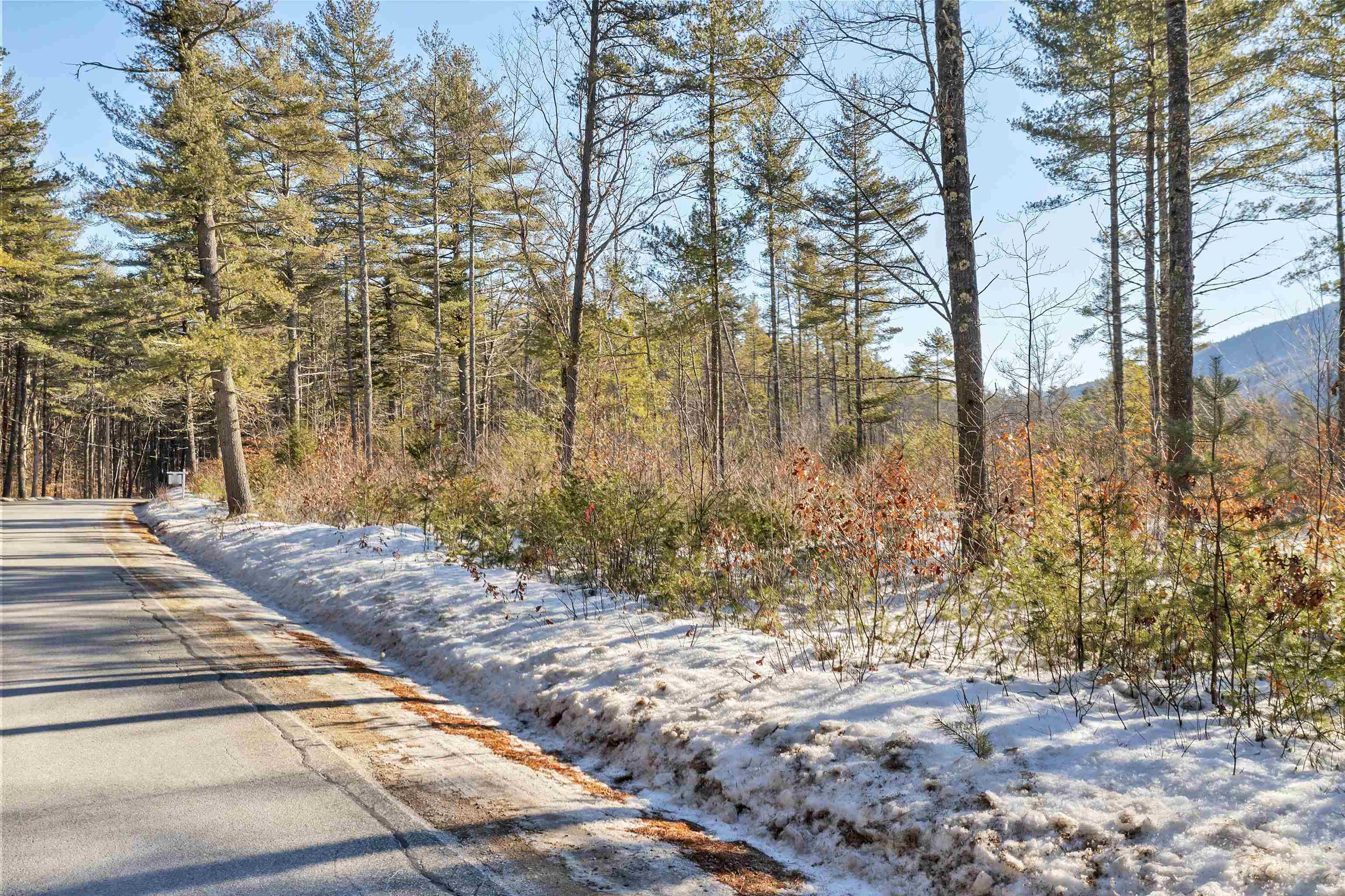 51-3 Depot Road Tamworth, NH 03886 - Photo 27 of 30