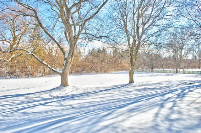 2S611 Arboretum Road Glen Ellyn, IL 60137 - Photo 24 of 25 a view of yard covered with snow