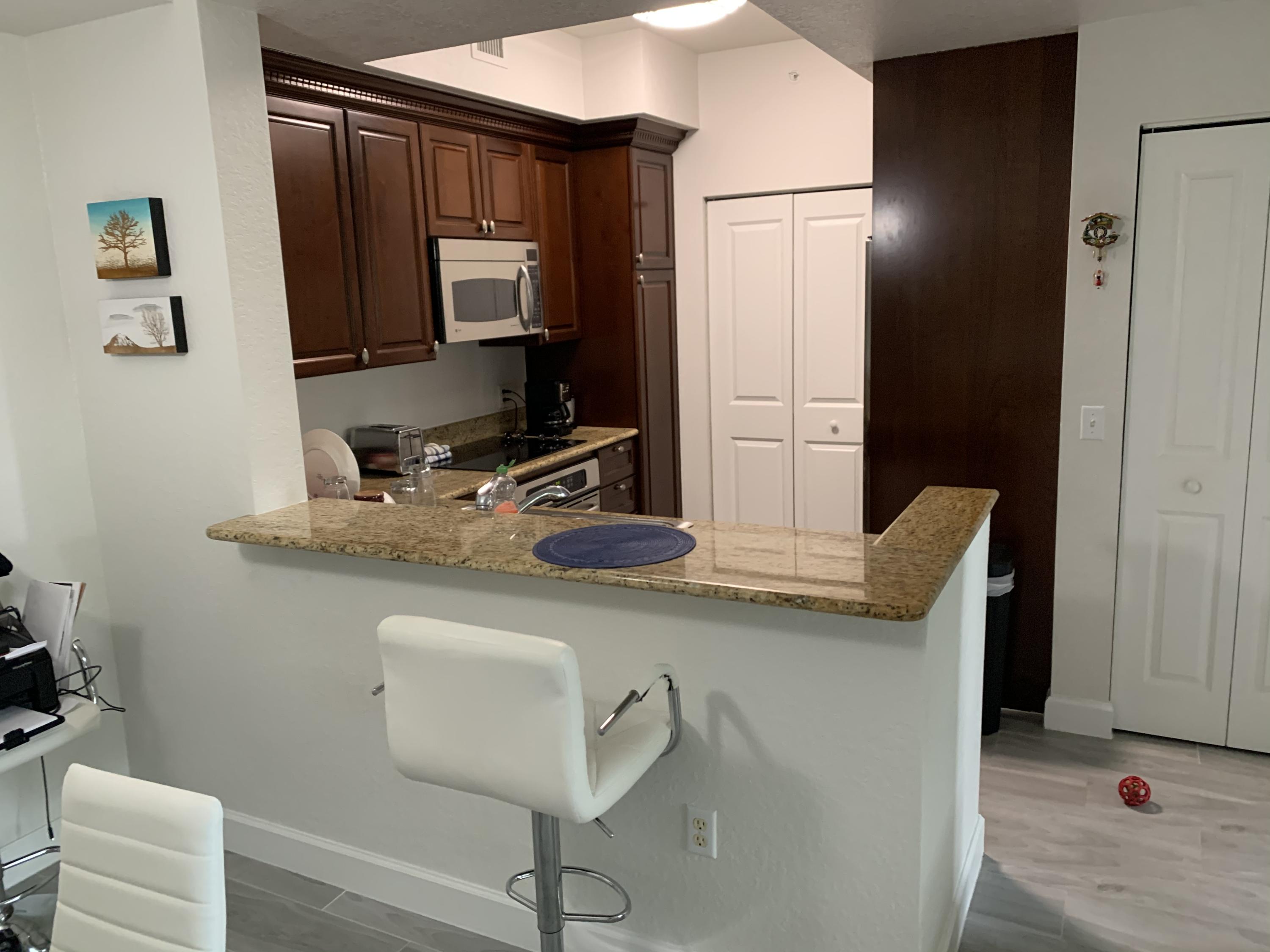 1310 Renaissance Way Boynton Beach, FL 33426 - Photo 13 of 24 IMG_3701