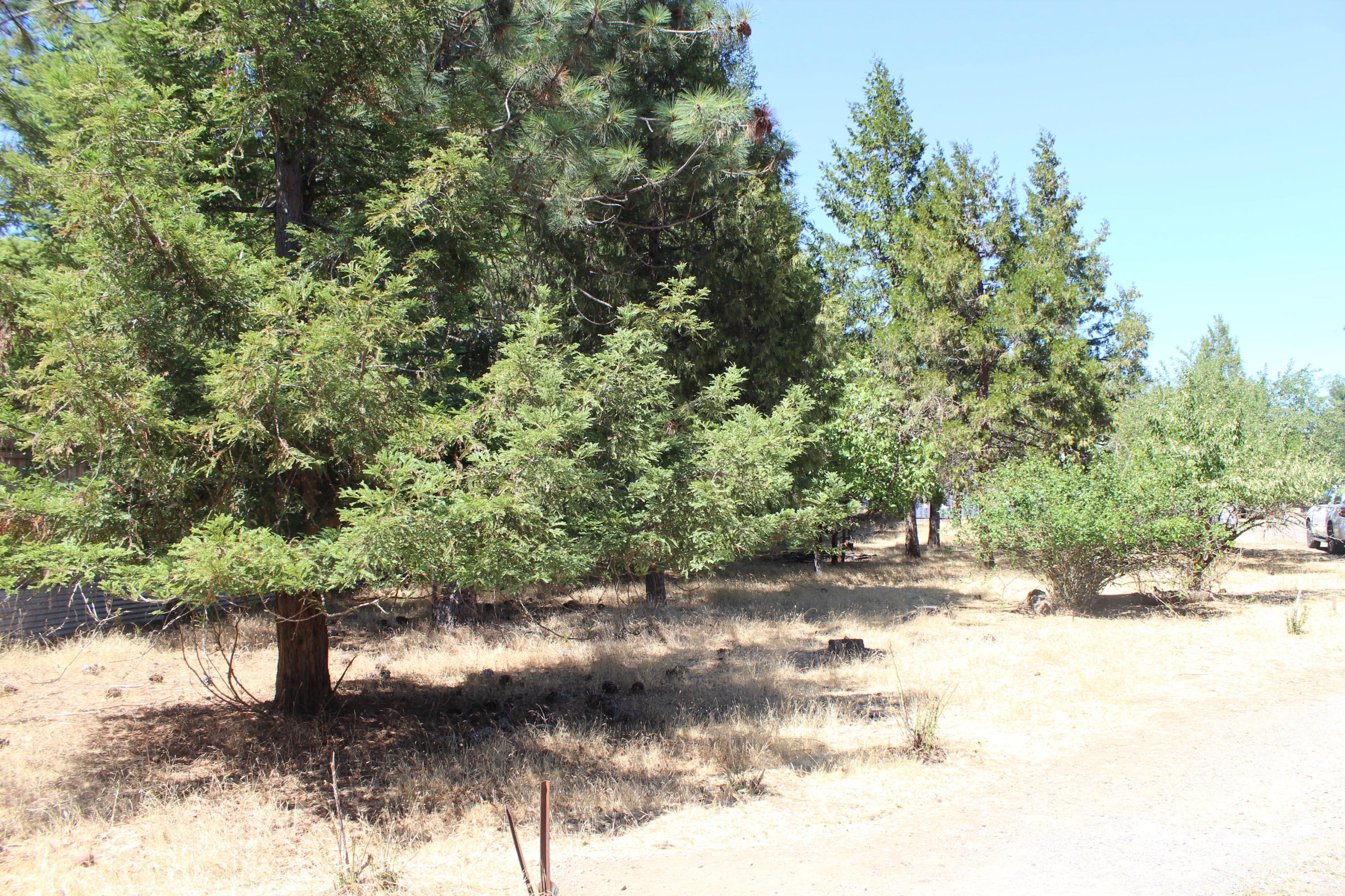 6855 West Side Road Cave Junction, OR 97523 - Photo 22 of 45 IMG_2583