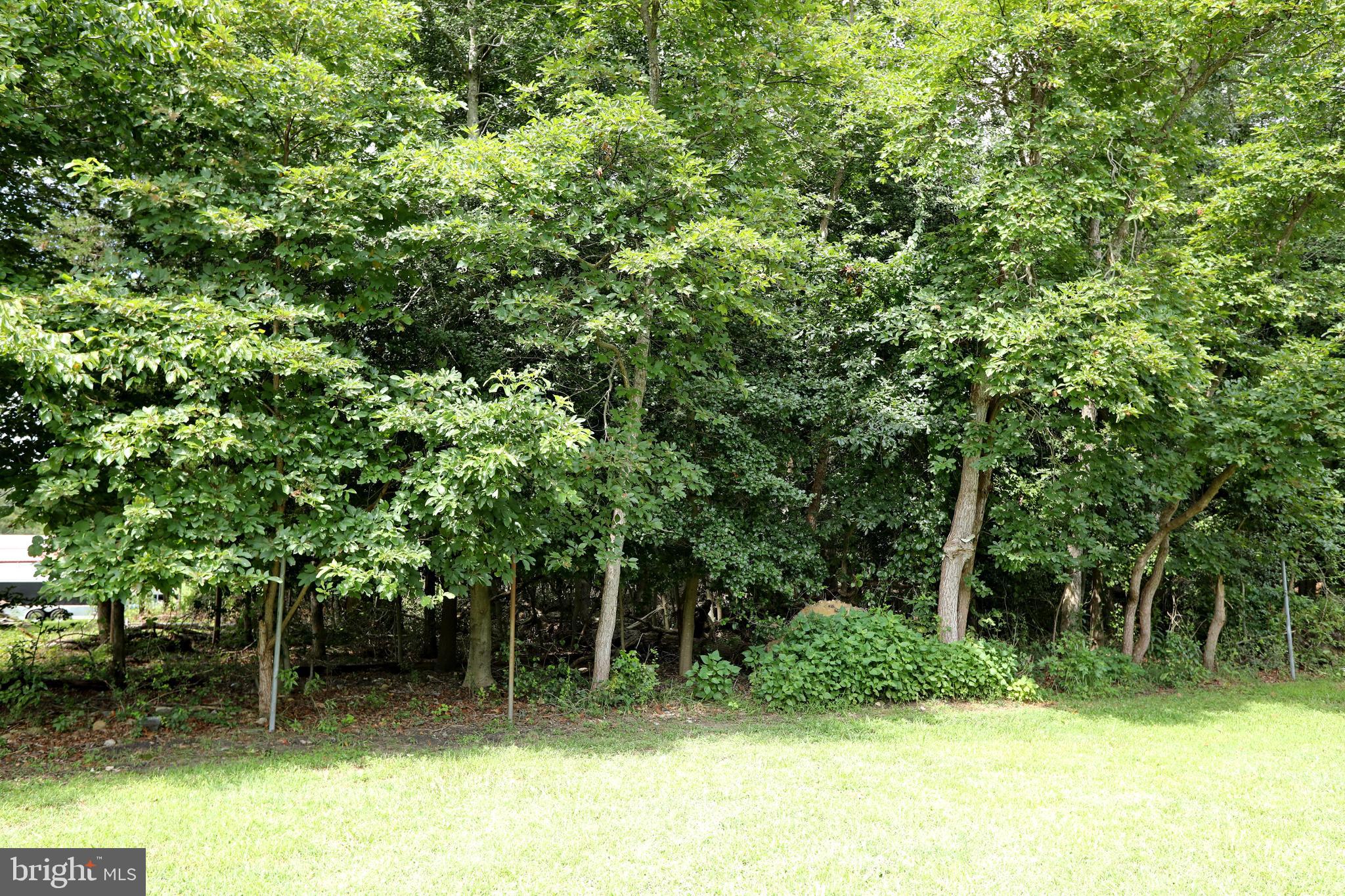 16900 Old Marshall Hall Road Accokeek, MD 20607 - Photo 51 of 53
