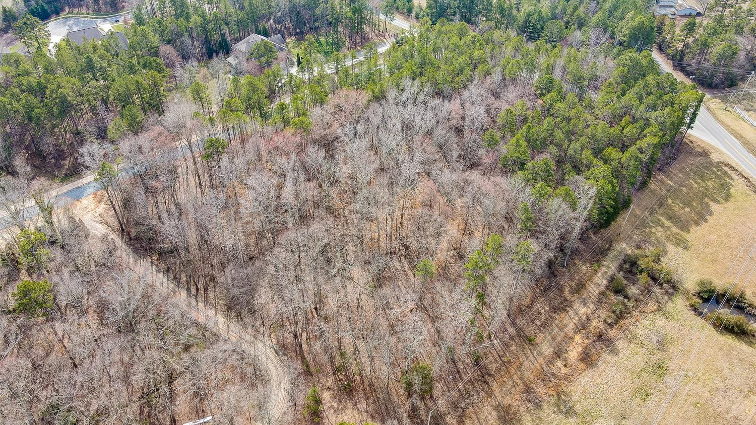 133 Underwood Road Wesley Chapel, NC 28104 - Photo 7 of 10 a view of a forest with a tree
