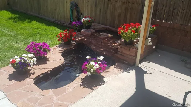 a view of a flower in a yard