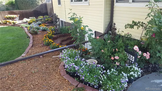 a bunch of flowers in front of house