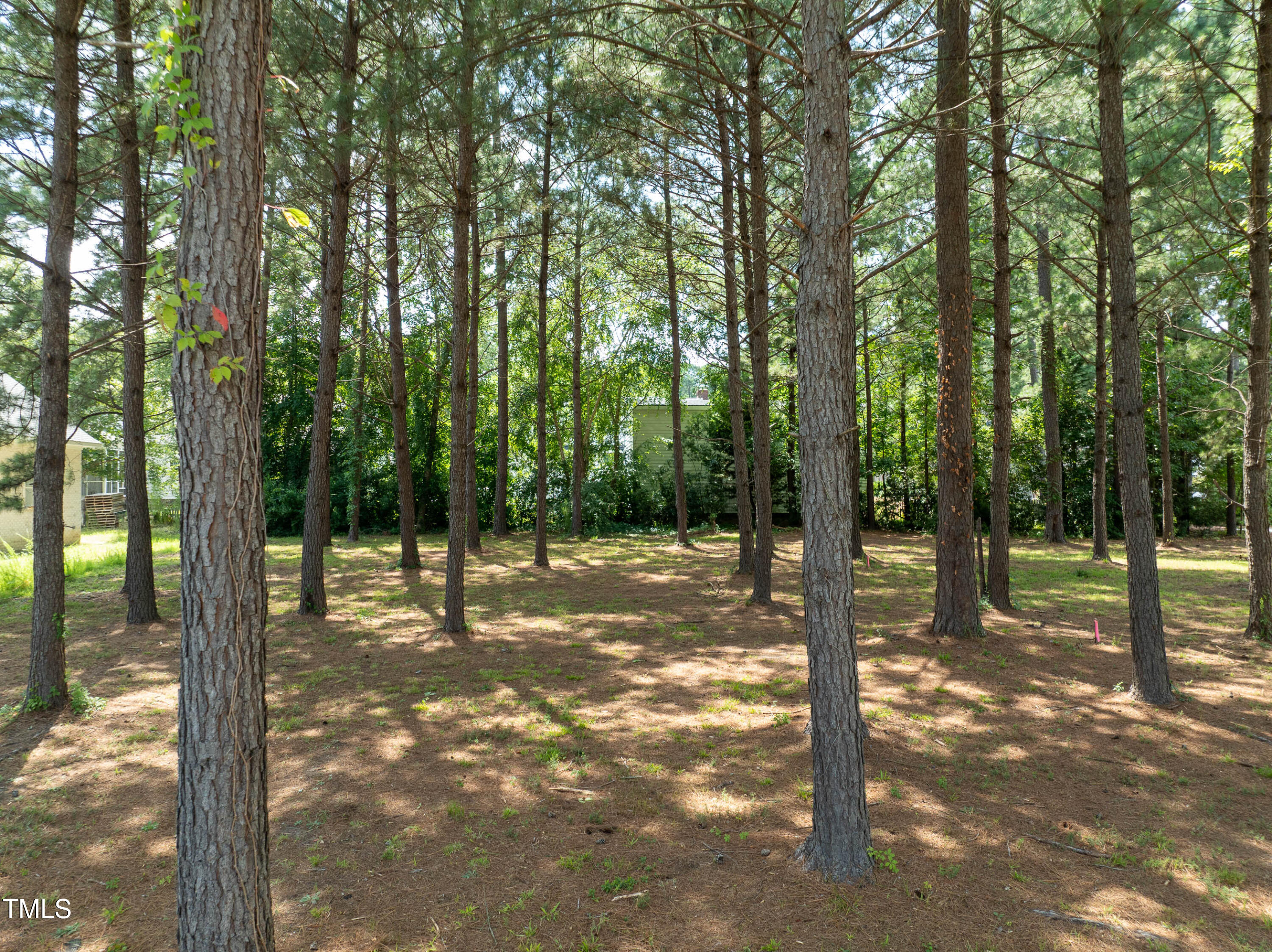 1124 Azalea Lane Northwest Wilson, NC 27893 - Photo 3 of 7 1124 Azalea Ln MLS-6