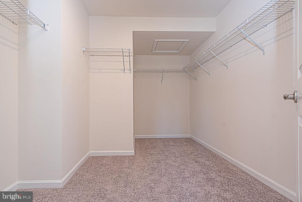 31198 Victor Road Millville, DE 19967 - Photo 33 of 51 Primary Walk in Closet