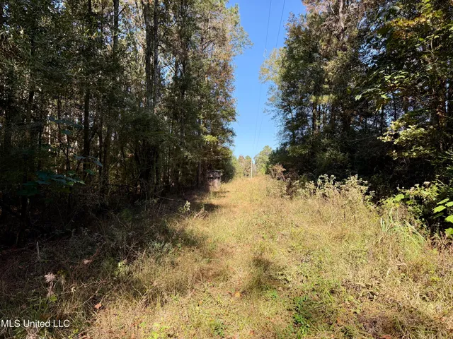 $170,000 | 1088 Freeman Road, McComb, MS 39648