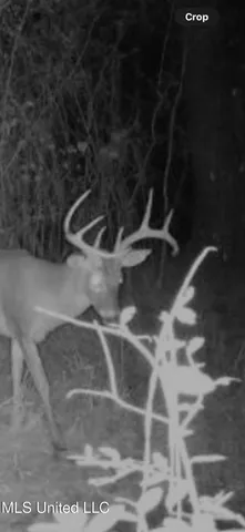 $170,000 | 1088 Freeman Road, McComb, MS 39648