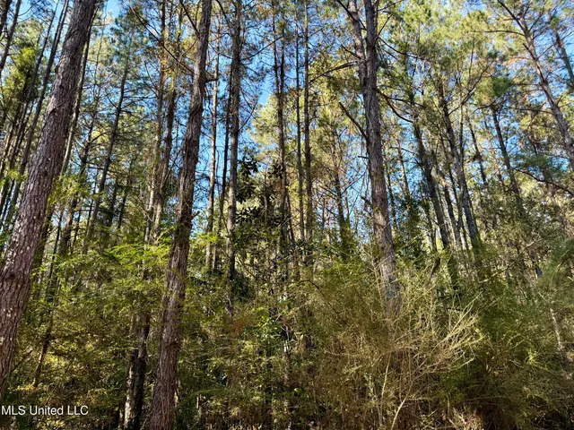 $170,000 | 1088 Freeman Road, McComb, MS 39648