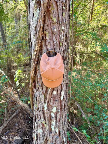 $170,000 | 1088 Freeman Road, McComb, MS 39648