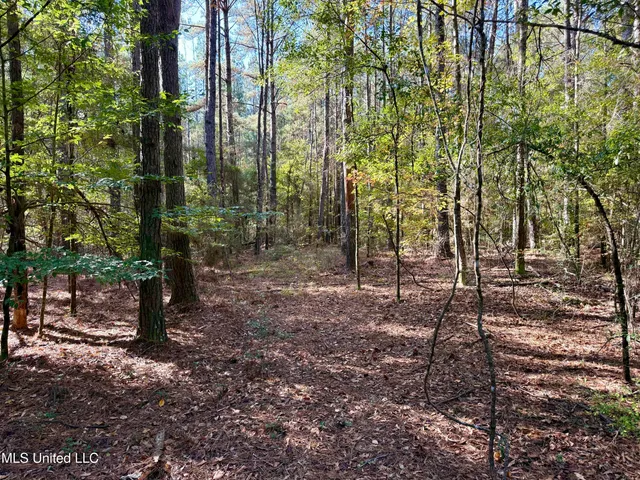 $170,000 | 1088 Freeman Road, McComb, MS 39648